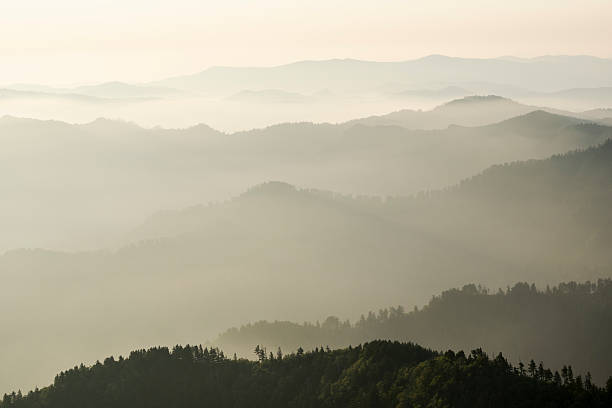 istock Misty morning in mountain range - Smoky Mountains 486418327