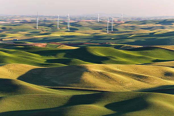 istock Palouse Rolling Hills with Wind Turbines 486420126