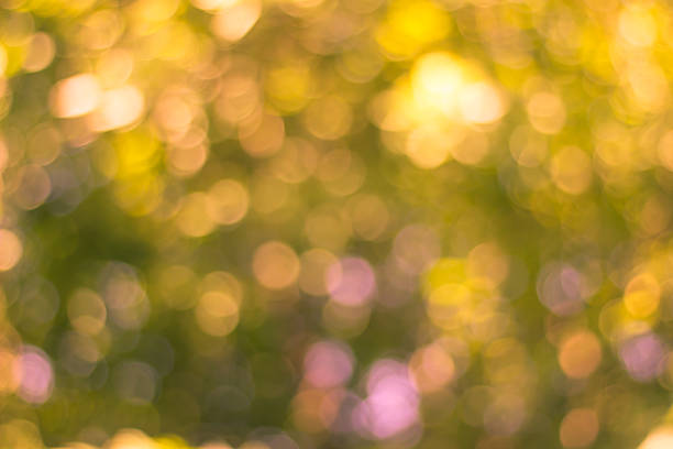 istock Blurred nature background.Backdrop with color and bright sun lig 486420166