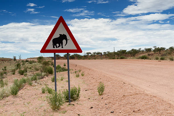 istock Elephant crossing sign on a gravel road 486420341