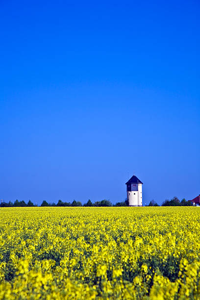 istock water tower in beautiful landscape with blue sky 486420373