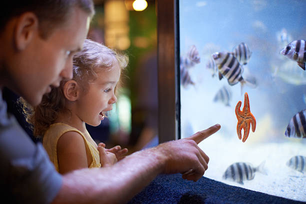 папа и дочь времени - candid underwater animal aquarium стоковые фото и изображения