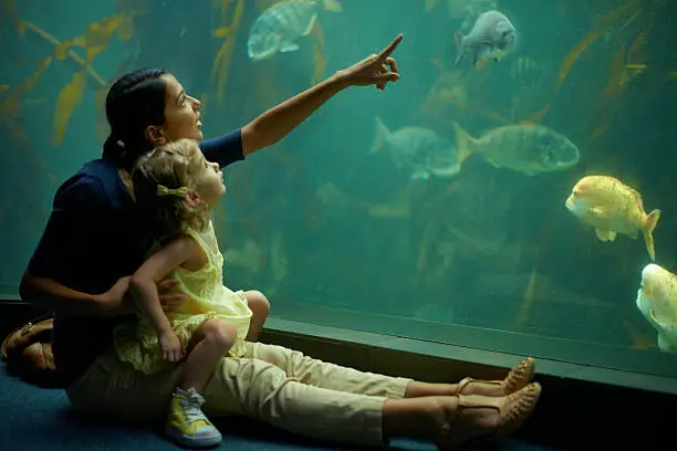 A mom and daughter spend time looking at the fish at the aquariumhttp://195.154.178.81/DATA/i_collage/pi/shoots/783341.jpg