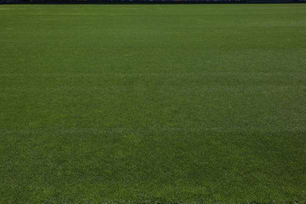 istock Soccer stadium green grass field 486424020
