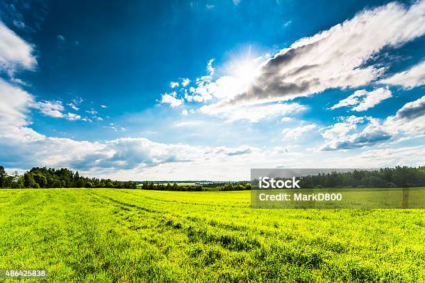 Sun Trata De Nubes Cumulus E Ilumina Un Campos Foto de stock y más banco de imágenes de 2015 - 2015, Agricultura, Aire libre