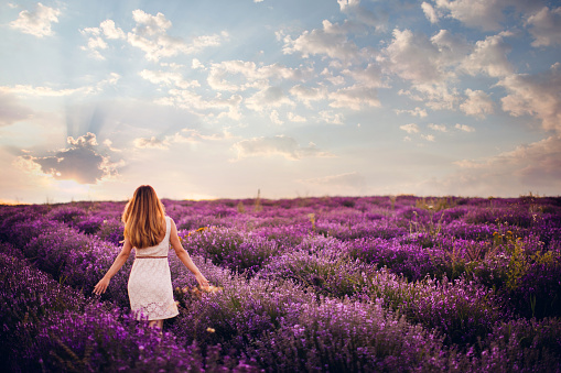 Photo of a young woman with arms outstretched walking down the lavender field, enjoying life