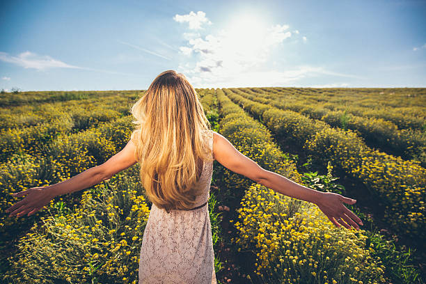 istock On immortelle flower field 486426084