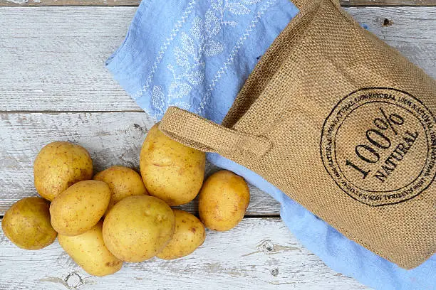 Organic fresh uncooked potatoes in a jute bag on a old weathered wooden white shelves background with vintage blue kitchen tea towel with kopie space