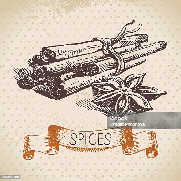 Kitchen Herbs And Spices Vintage Background With Hand Drawn Ske Stock Illustration - Download Image Now