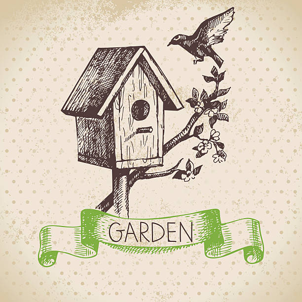 ilustrações, clipart, desenhos animados e ícones de desenho vintage fundo de jardinagem. desenho à mão do design - picking up single object leisure activity recreational pursuit