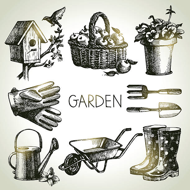 illustrazioni stock, clip art, cartoni animati e icone di tendenza di set di schizzo giardinaggio. disegno a mano gli elementi di design - birdhouse