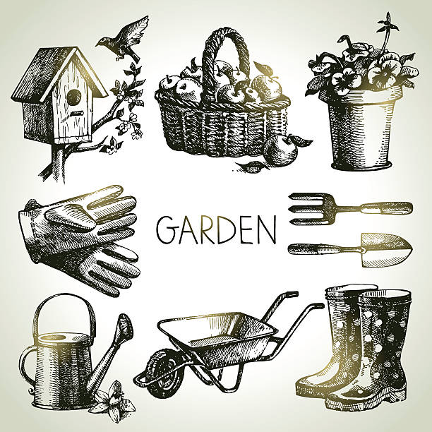 zestaw szkic ogrodnictwo. odręcznie rysowanych elementy - birdhouse stock illustrations