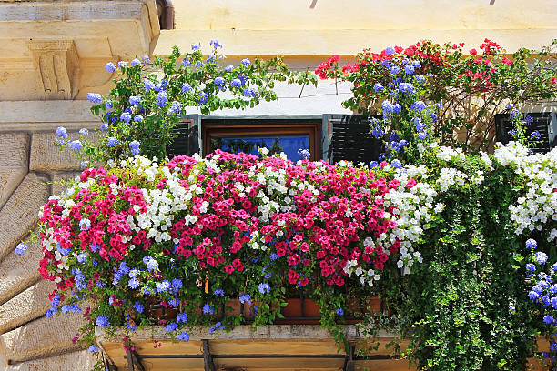 balcone twined con fiori di petunias - balcony rome window ornate foto e immagini stock