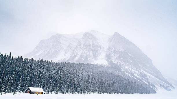 istock Lake Louise in Winter 486431912
