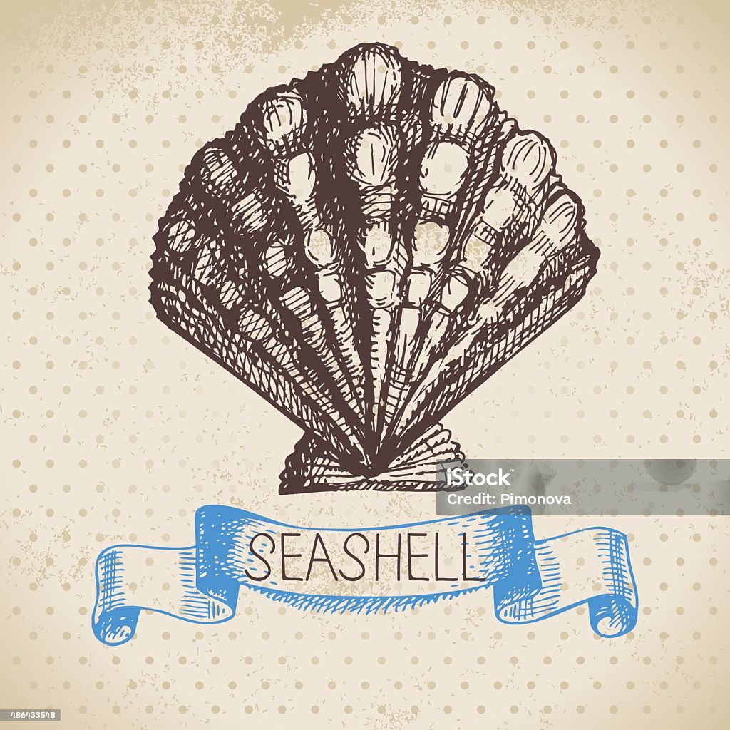 Seashell hand drawn sketch. Vintage illustration 2015 stock vector