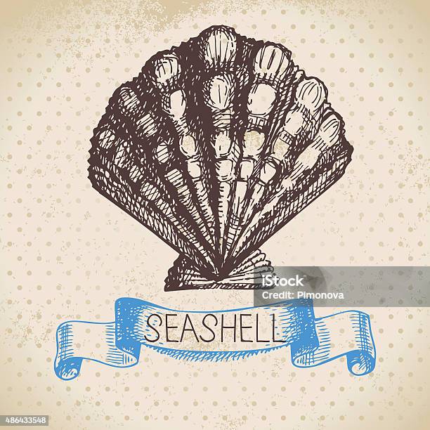 Seashell Hand Drawn Sketch Vintage Illustration Stock Illustration - Download Image Now - 2015, Animal, Animal Markings