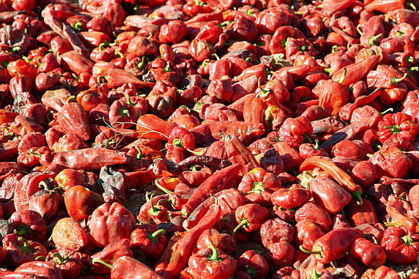 Views of sweet red peppers drying in Cachi, Views of sweet red peppers drying in Cachi, Salta province, Argentina achinoam nini photos stock pictures, royalty-free photos & images
