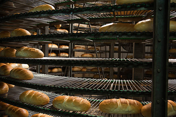 istock freshly baked hot bread loafs on the production line 486436278