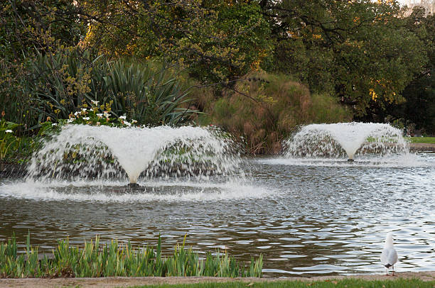 istock Carlton garden of Melbourne 486436972