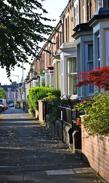 istock Tarraced houses in Darlington 486437782