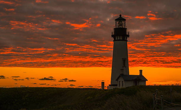 leuchtturm von yaquina head bei sonnenuntergang - newport oregon stock-fotos und bilder