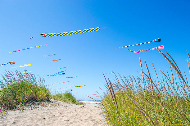 Kites. stock photo