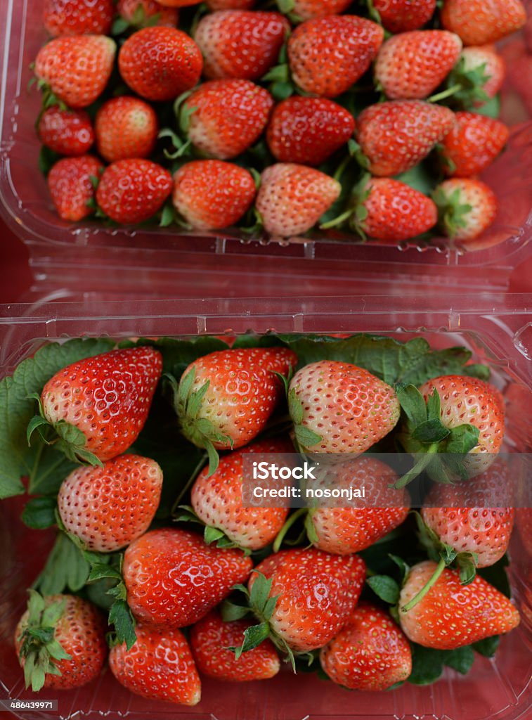 Strawberry in plastic package Agriculture Stock Photo