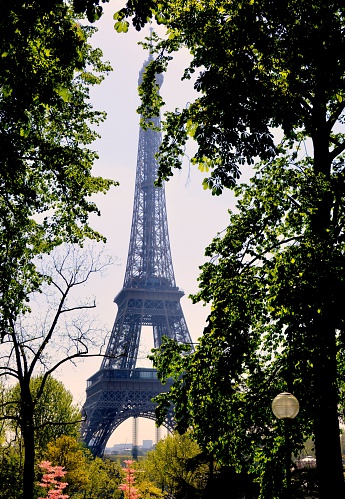Eiffel Tower garden Spring, Paris France