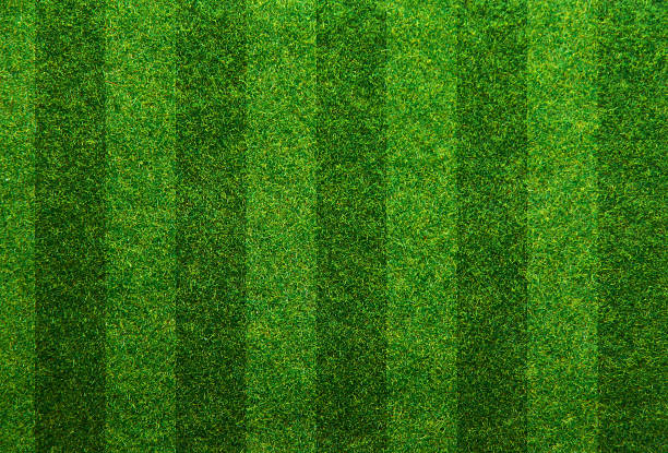 istock Green grass soccer field background 486440861