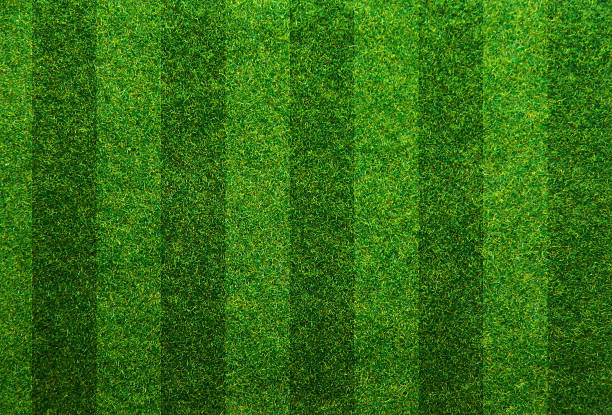 zielona trawa tło pola nożna - soccer field soccer grass green zdjęcia i obrazy z banku zdjęć