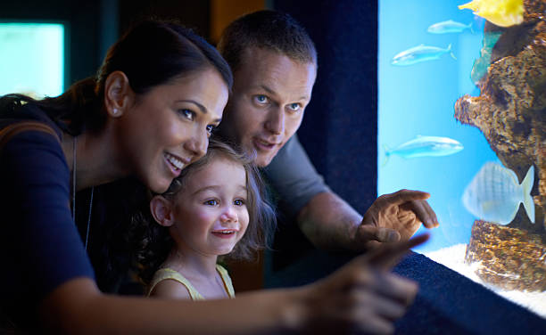 istock Family day at the aquarium 486441781