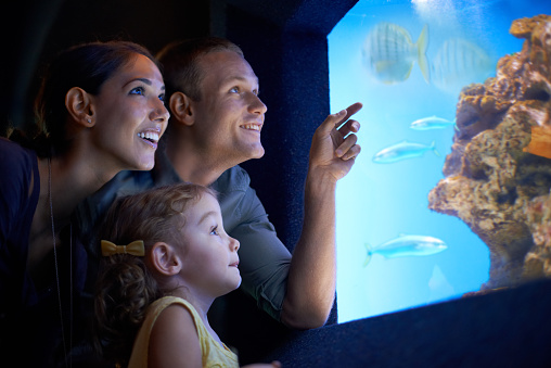 Shot of a young family enjoying a day at the aquariumhttp://195.154.178.81/DATA/i_collage/pi/shoots/783341.jpg