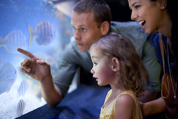 istock There's so much to learn at the aquarium 486441853