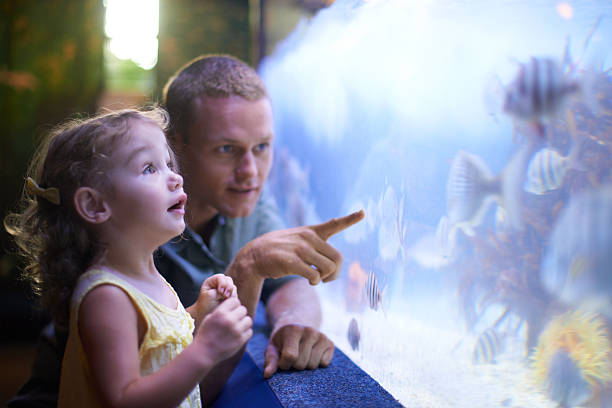 tempo di qualità con il padre e i pesci - acquarium foto e immagini stock