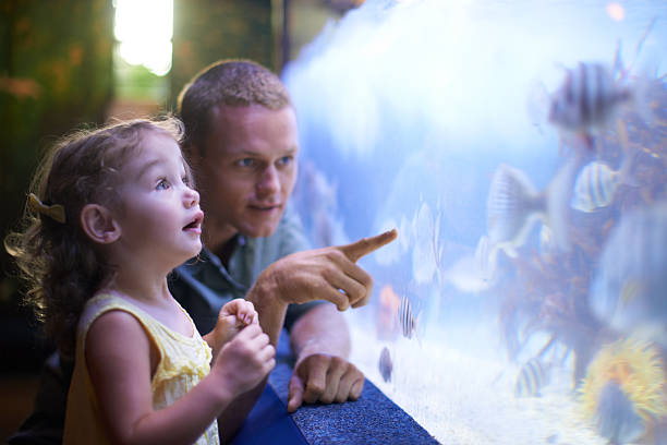 Quality time with her father and the fish Shot of a father and daughter enjoying a day at an aquariumhttp://195.154.178.81/DATA/i_collage/pi/shoots/783341.jpg aquarium stock pictures, royalty-free photos & images
