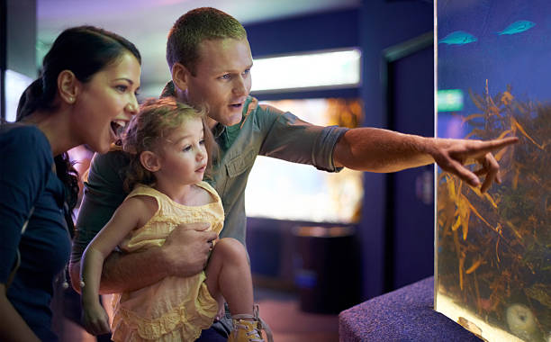 istock Teaching our daughter about sea-life 486441881