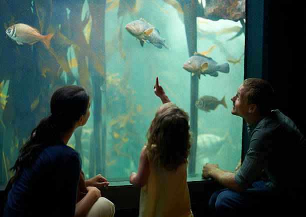 istock The curiosity of kids 486441937