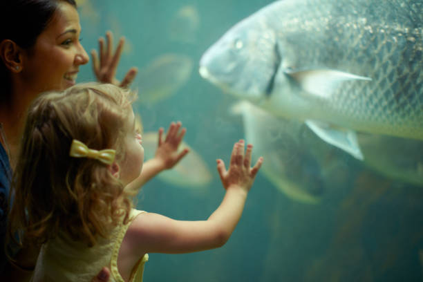istock Marveling at the marine life 486441951