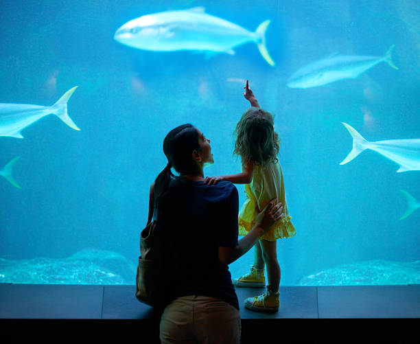 Nurturing her development Shot of a young family enjoying a day at the aquariumhttp://195.154.178.81/DATA/i_collage/pi/shoots/783341.jpg fish tank stock pictures, royalty-free photos & images