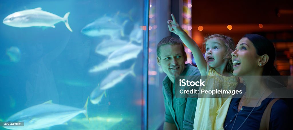 Enjoying a day of family, fun and fish - Royalty-free Aquarium Stockfoto