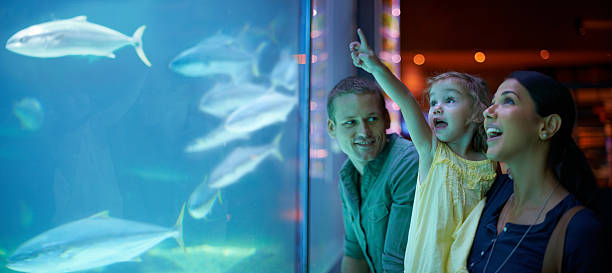 Enjoying a day of family, fun and fish Shot of a young family enjoying a day at the aquariumhttp://195.154.178.81/DATA/i_collage/pi/shoots/783341.jpg fish tank stock pictures, royalty-free photos & images