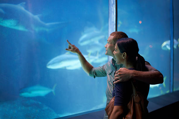 デイープシーの歴史 - candid underwater animal aquarium ストックフォトと画像