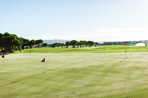 istock Golf course with flags on the field in Langebaan 486442391