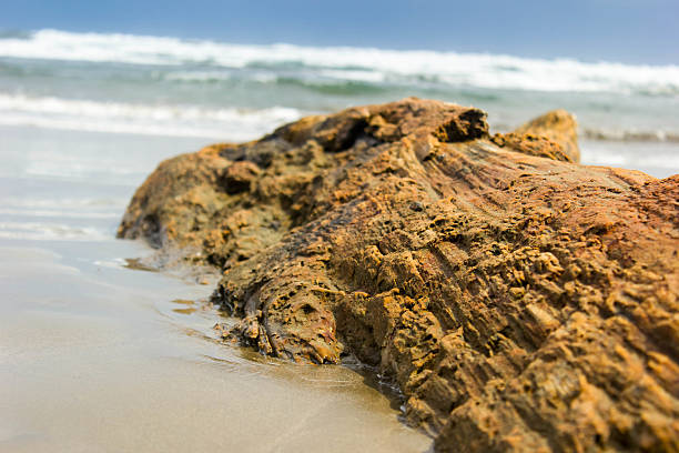 istock Volcanic rock by the sea 486442799