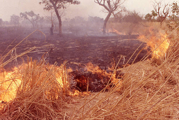Wildfire savanna grasslands dry season Kongoussi Burkina Faso West Africa stock photo