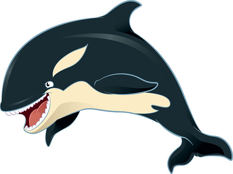 Vector image of an cartoon killer whale