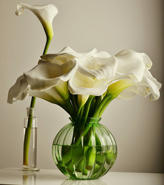 istock pot of flowers 486445479