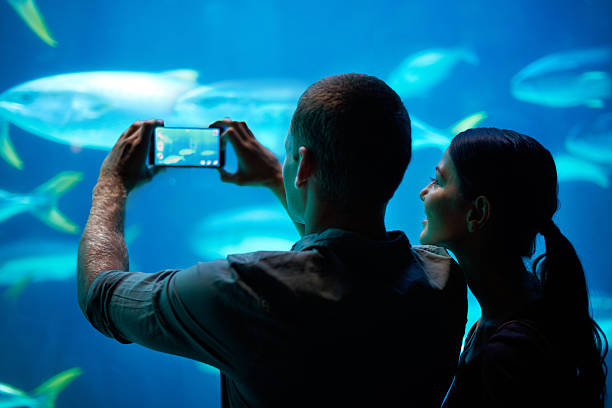 istock Sea-life snapshots 486445697