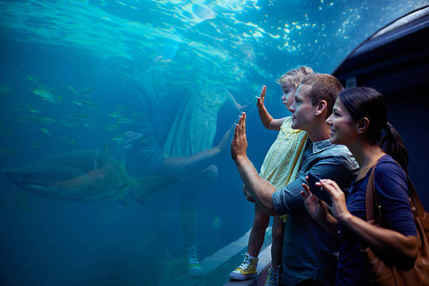 Exploring a different kind of world Shot of a young family enjoying a day at the aquariumhttp://195.154.178.81/DATA/i_collage/pi/shoots/783341.jpg animals in captivity photos stock pictures, royalty-free photos & images