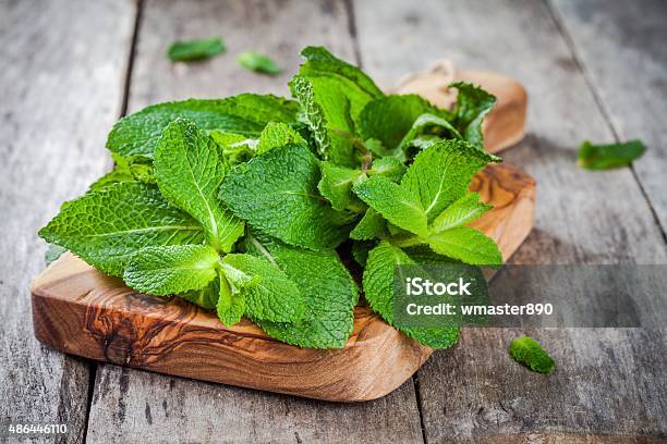 Organic Fresh Bunch Of Mint On Wooden Cutting Board Stock Photo - Download Image Now